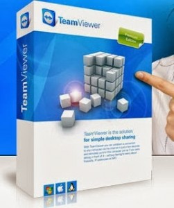 TeamViewer-Portable