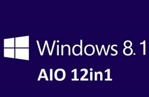 1380702642_windows-8.1-aio-12in1
