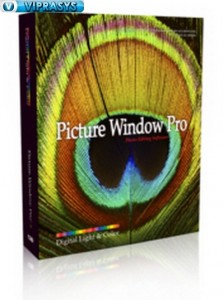 Digital Light and Color Picture Windows Pro 32x64 bit