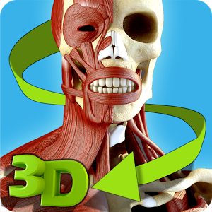 Easy Anatomy 3D Apk Full