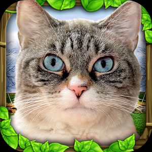 Stray-Cat-Simulator-Android-resim