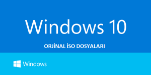 windows-10-msdn