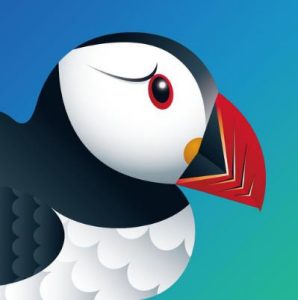 Puffin-Browser-Pro2-298x300.jpg