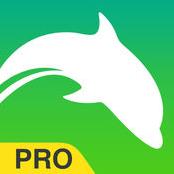 Dolphin-Web-Browser-Pro2.jpg